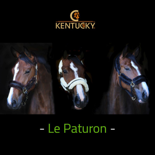 Licol cheval Nylon Mouton Naturel Kentucky