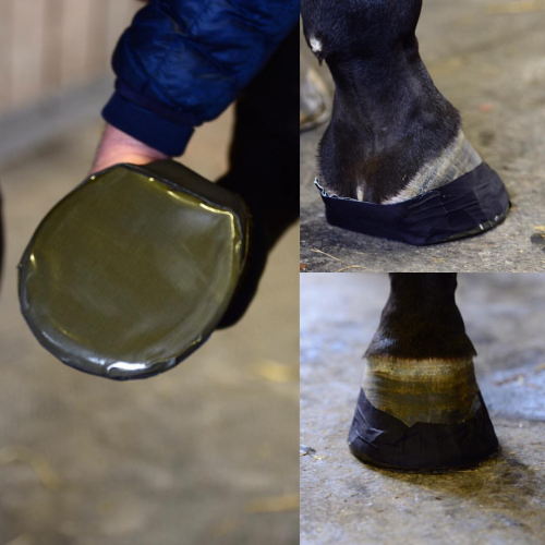 Pad protection sole sabot cheval
