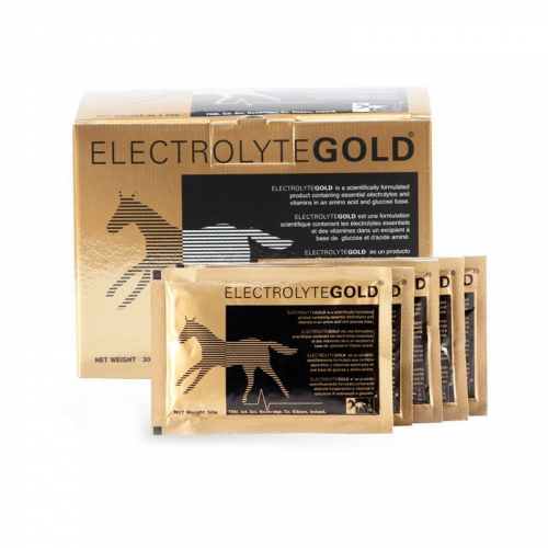 Électrolytes poudre cheval 200 x 50 g Gold TRM