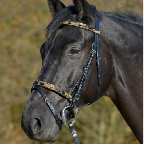 Bridon cheval camouflage cuir muserolle combinée