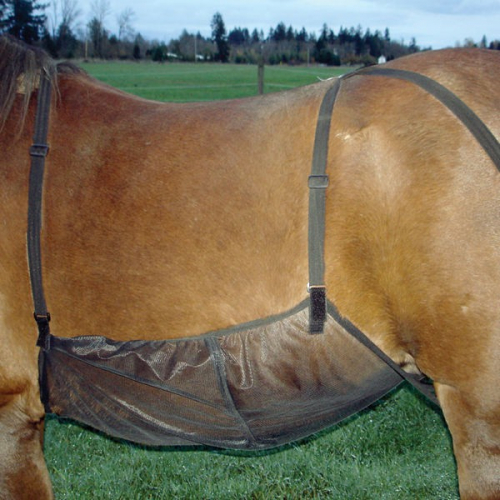 Protection anti-mouche ventre cheval