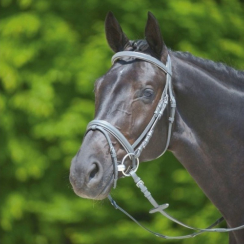 Bridon cheval Shade of Grey cuir X-Line muserolle combinée