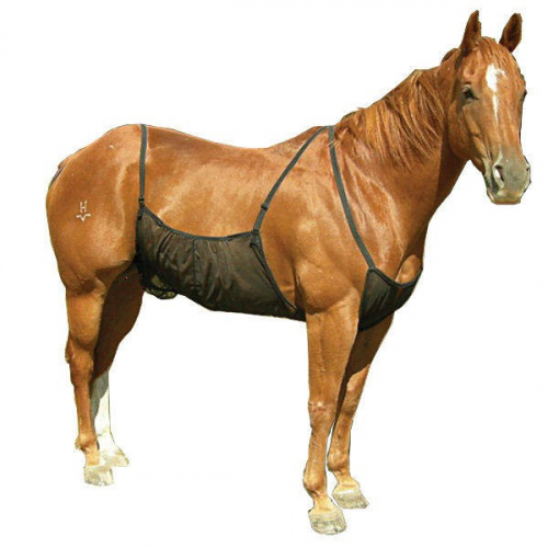 Belly Guard Protection Ventre anti mouche cheval