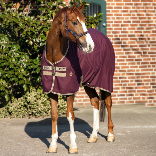 Couverture cheval Amigo Stable Horseware écurie transport