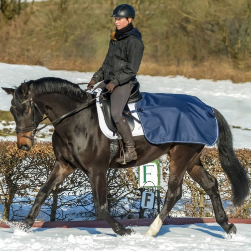 Couvre reins dressage carré Cheval Bucas Quarter Sheet