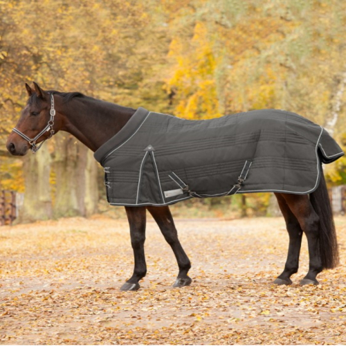 Couverture écurie cheval Comfort 200g Waldhausen