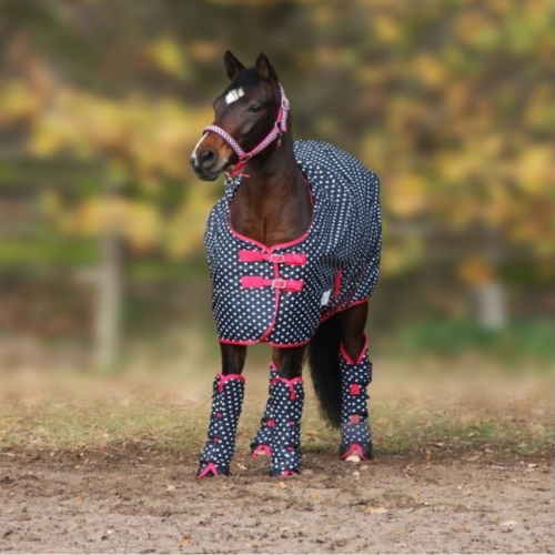 Couverture extérieur cheval polaire à pois Unicorn Waldhausen