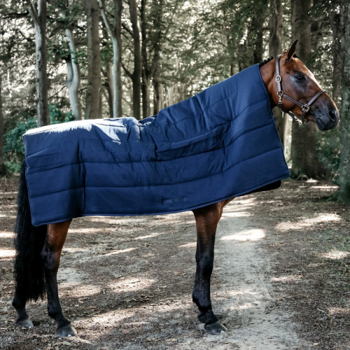 Sous couverture cheval