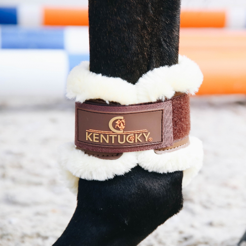 Protèges-boulets jeunes chevaux mouton Kentucky