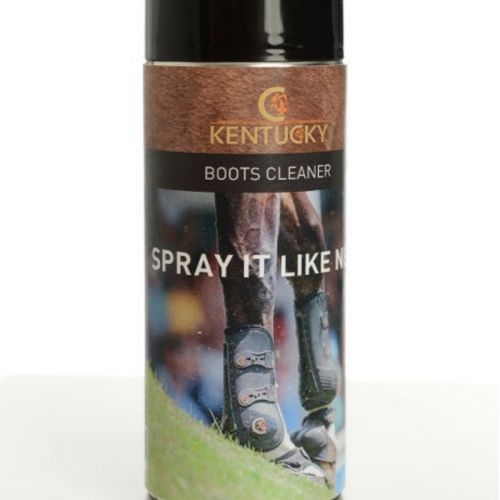 Spray Boots Cleaner