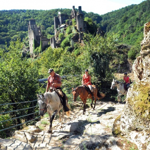 Xaintrie et Haute vallée de la Dordogne / 1 à 8 jours