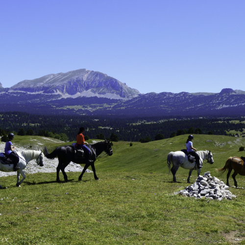 Stage Equitation et Randonnée -  2 semaines dans le Parc Régional du Vercors