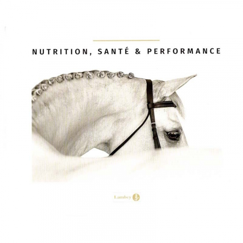Nutrition santé &Performance