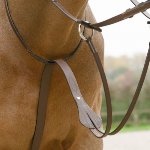 Martingale cuir à anneaux