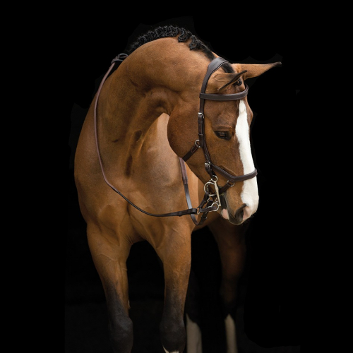 Bridon anatomique Micklem Rambo Competition Original - Horseware