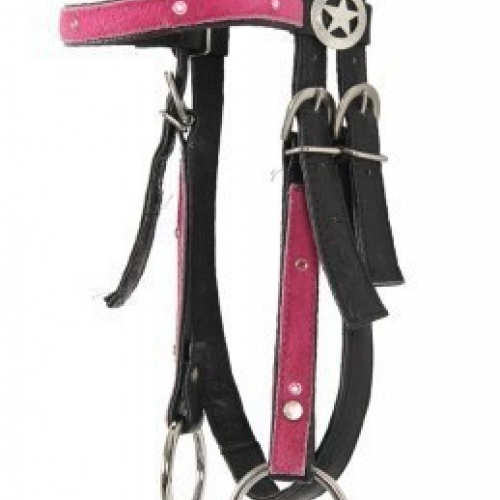 Bridon et collier western Think Pink - Waldhausen