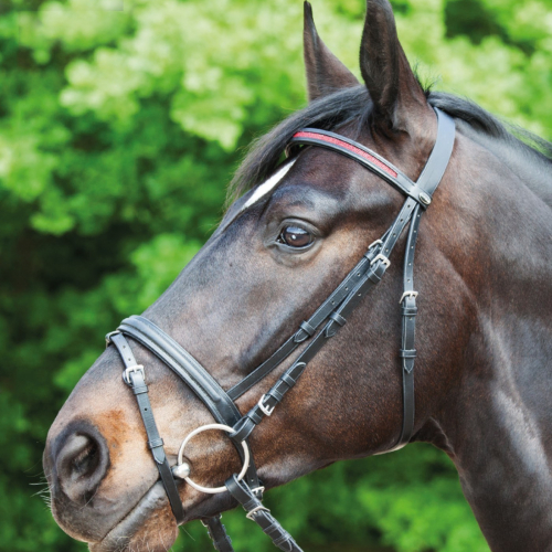 Bridon cuir muserolle combinée Sunny - Waldhausen