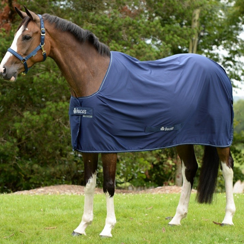 Chemise séchante Stay-Dry Poney Power Cooler - Bucas