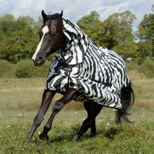 Chemise anti-dermite cheval Sweet Itch Zebra - Bucas