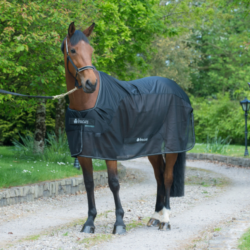 Chemise séchante anti-mouche cheval Cooler Compétition - Bucas