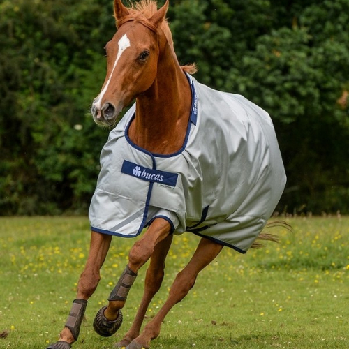 Couverture extérieur cheval 300 g Power Turnout - Bucas