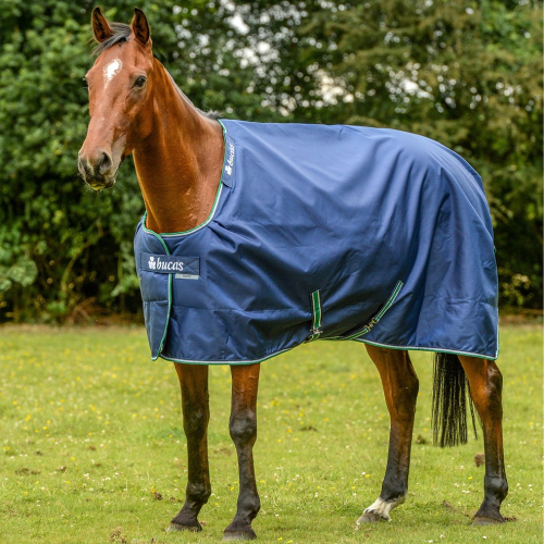 Couverture extérieur cheval épaules larges 300 g Smartex Extra Big Neck - Bucas