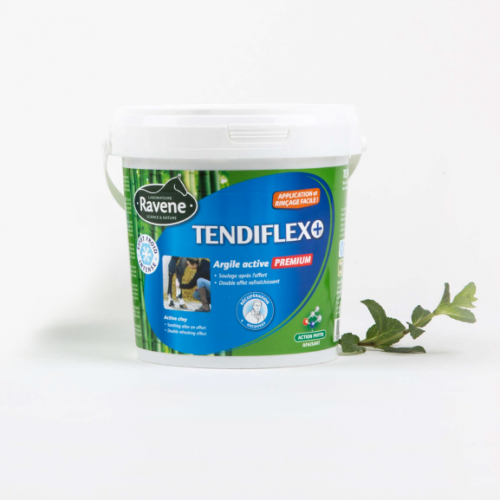 Argile Tendiflex Soin tendon cheval rafraîchissant - Ravene