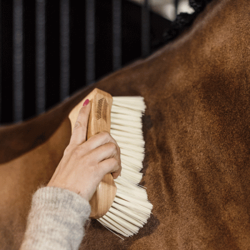 Bouchon à poils doux Grooming Deluxe - Kentucky