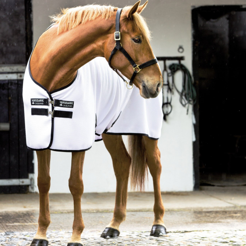 Chemise séchante cheval nid d'abeille Techni-Waffle Cooler - Horseware