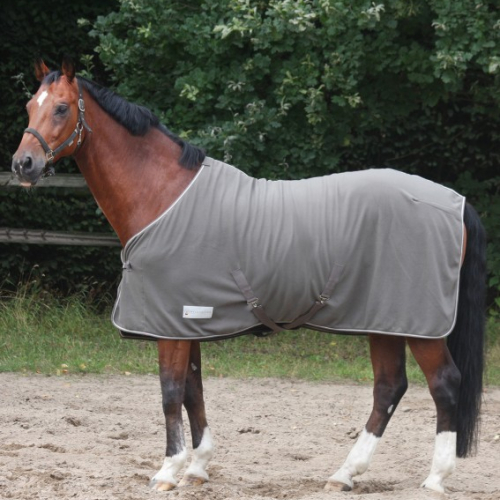 Chemise polaire cheval avec sursangles Economic - Waldhausen