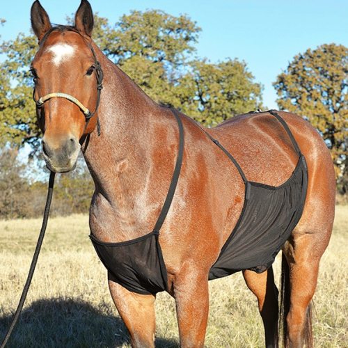 Protection ventrale anti-mouche cheval Belly Guard - Cashel