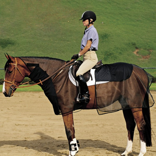 Filet et couvre-reins anti-mouche cheval Quiet Ride - Cashel