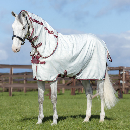 Chemise anti-mouche anti-UV cheval avec couvre-cou Amigo Aussie All Rounder - Horseware