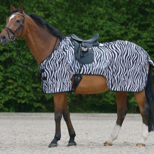 Couvre-reins anti-mouche cheval Zebra - Waldhausen