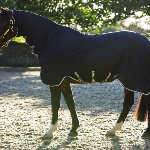 Chemise lustrante écurie transport cheval Rambo Dustbuster - Horseware