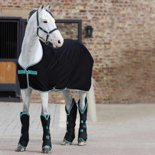 Chemise séchante cheval Amigo Jersey Cooler - Horseware