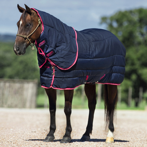 Couverture écurie cheval 250 g avec couvre-cou Amigo Stable Vari-Layer Plus - Horseware