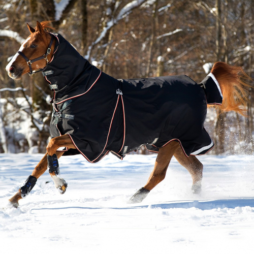 Couverture extérieur cheval 400 g avec couvre-cou et liner Rambo Optimo Turnout - Horseware