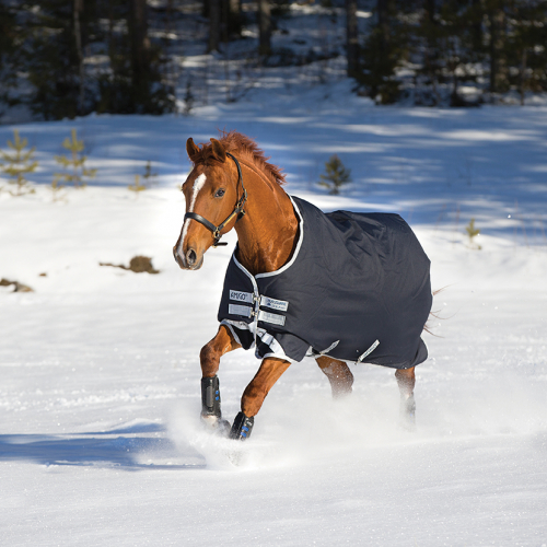 Couverture extérieur cheval 250 g Amigo Bravo 12 Original Medium - Horseware