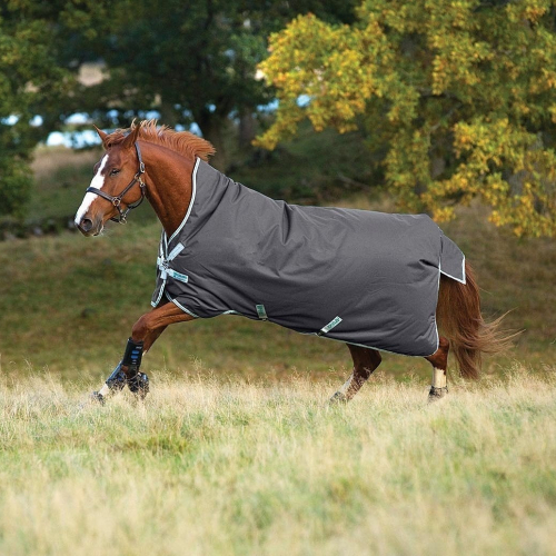 Couverture extérieur cheval 250 g Amigo Bravo 12 Wug - Horseware