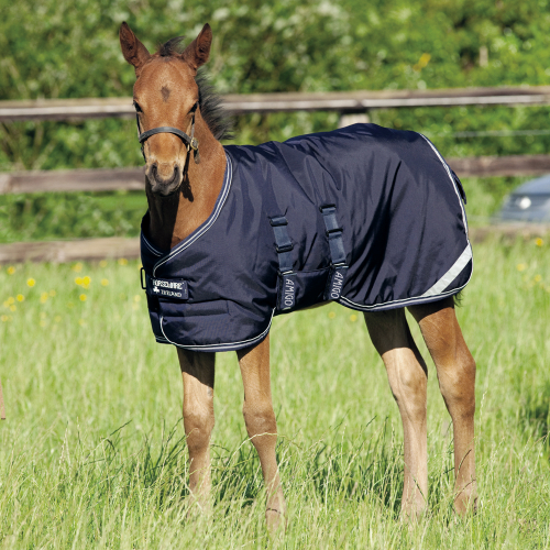 Couverture extérieur poulain 200 g Amigo Foal - Horseware