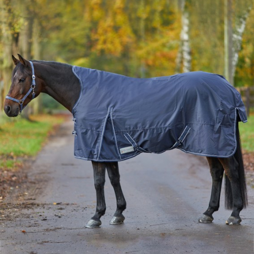 Couverture extérieur cheval 200 g encolure haute Economic - Waldhausen