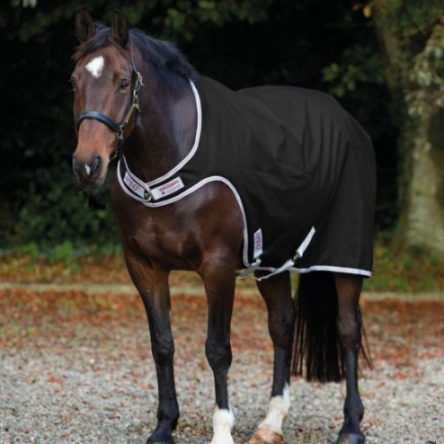 Chemise de marcheur cheval 100 g Amigo Walker - Horseware