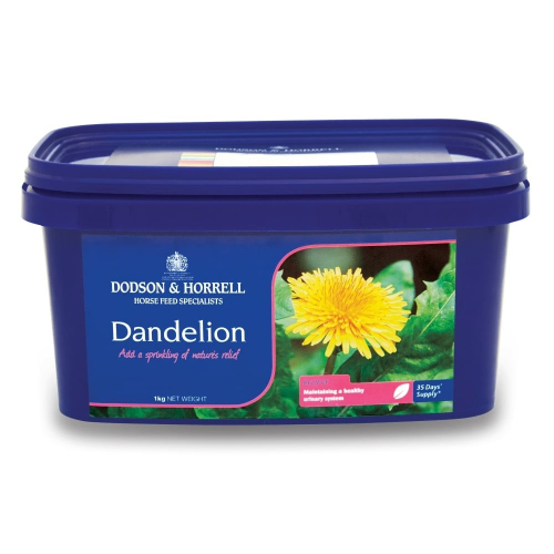 Drainage 1 kg Dandelion