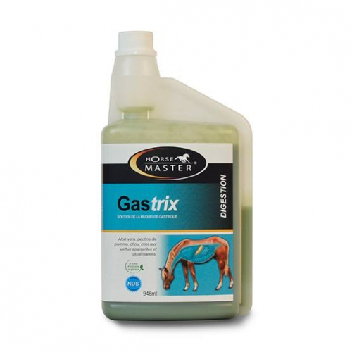 GASTRIX -946 ml - Horse Master