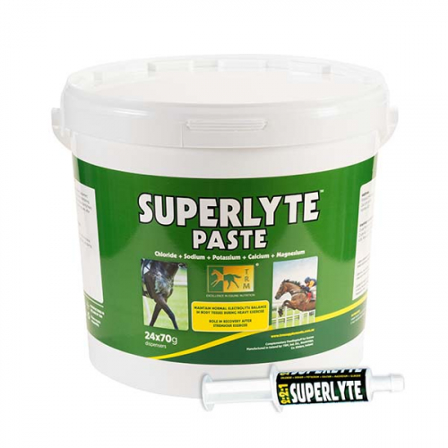 Électrolytes rapides seringue 70 g x 24 Superlyte Paste - Trm