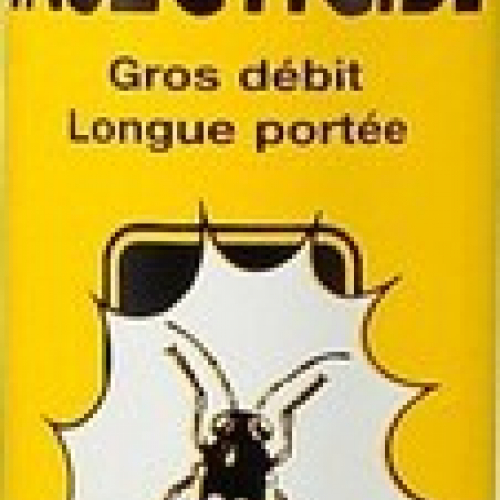 Aérosol insecticide guêpes et frelons 600 ml