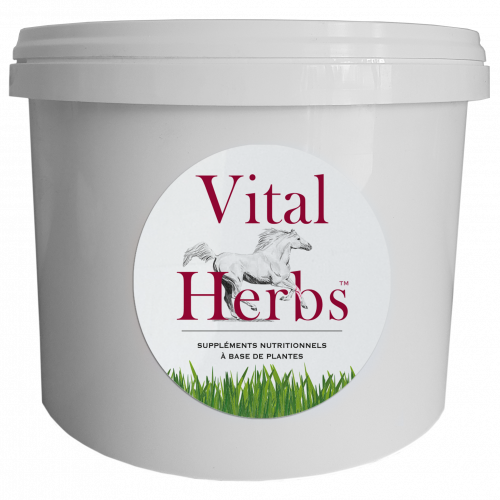 Seau vide 5 litres - Vital Herbs