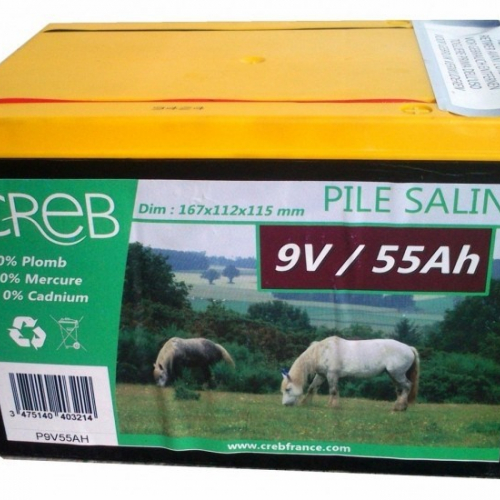 Pile saline 9V-55Ah petit modèle