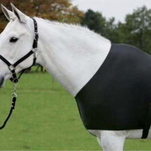 Protection épaules cheval Comfort Vest